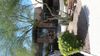 8585 E Bell Rd photo